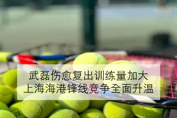 武磊伤愈复出训练量加大 上海海港锋线竞争全面升温